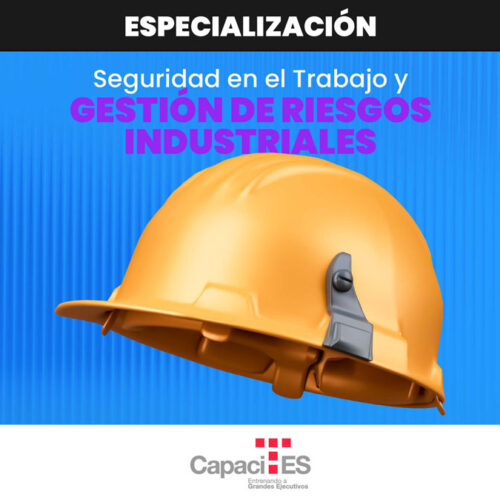 Seguridad en el Trabajo y Gestión de Riesgos Industriales
